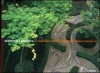 Geometria e botanica
