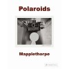 Mapplethorpe: Polaroids