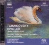 TCHAIKOVSKY: Swan Lake