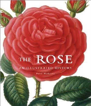 The Rose